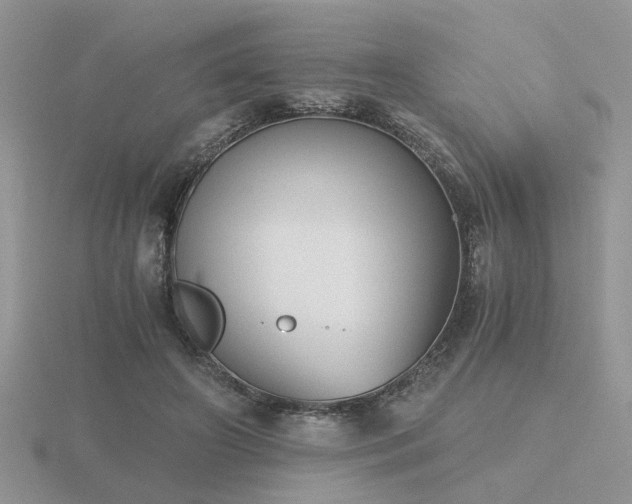 X0000116480498200912091403