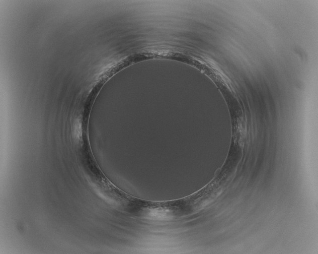 X0000116480500200912091403