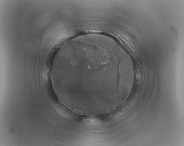 X0000116480503200912091403