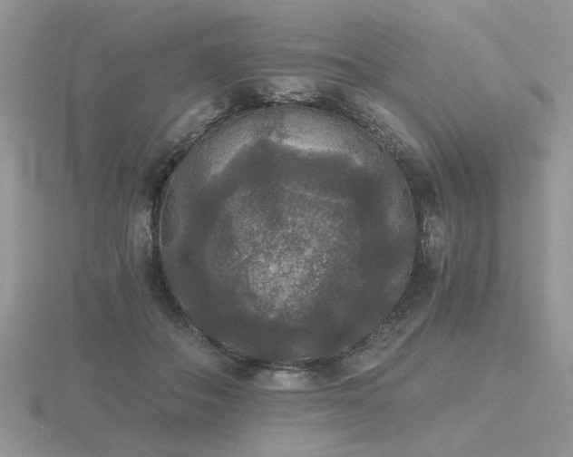 X0000116480506200912091403