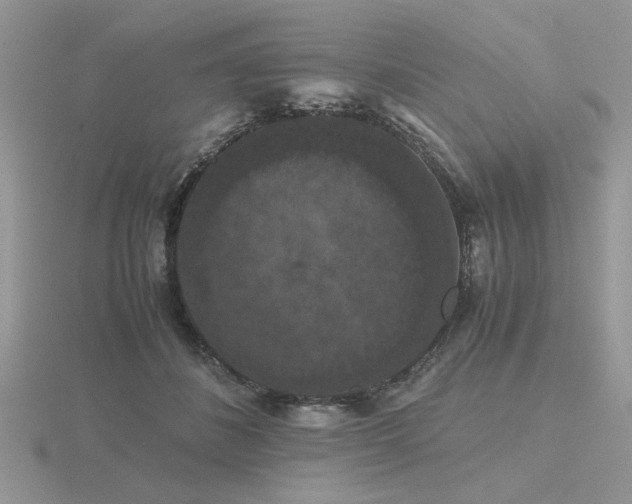 X0000116480508200912091403