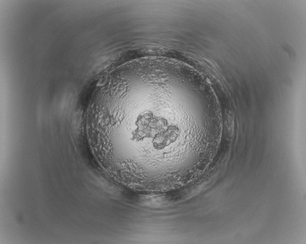 X0000116480511200912091403