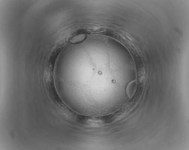 X0000116480515200912091403