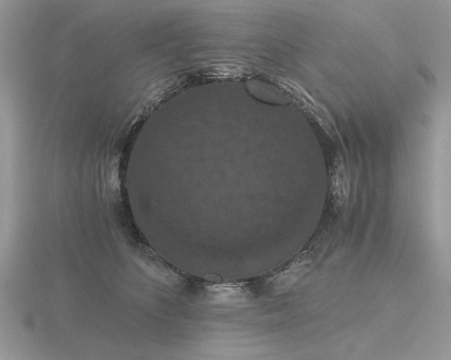 X0000116480516200912091403