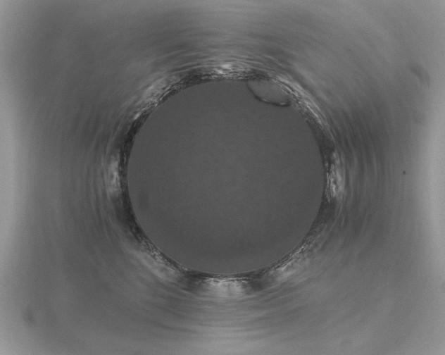 X0000116480520200912091403