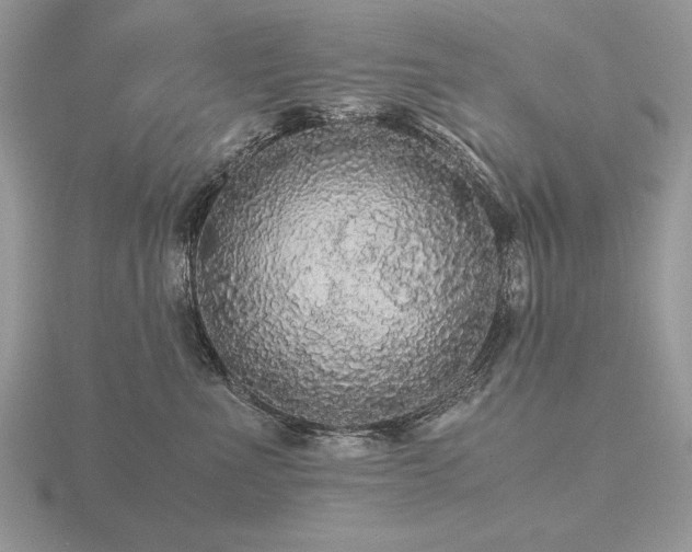 X0000116480523200912091403