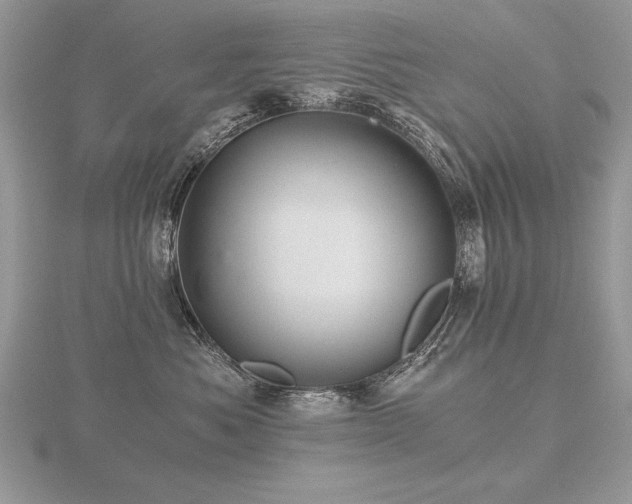 X0000116480525200912091402