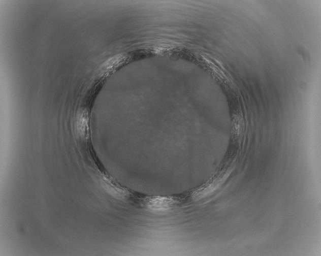 X0000116480527200912091402