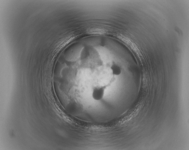 X0000116480529200912091402