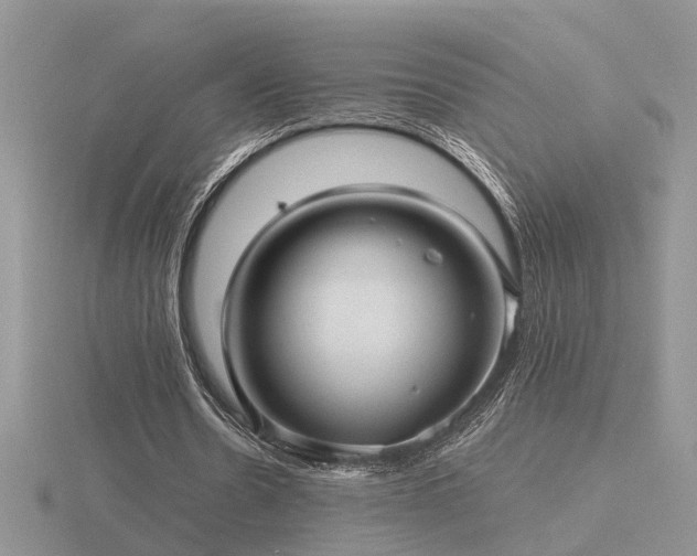 X0000116480530200912091402