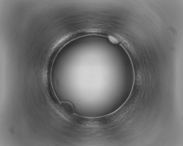 X0000116480535200912091402