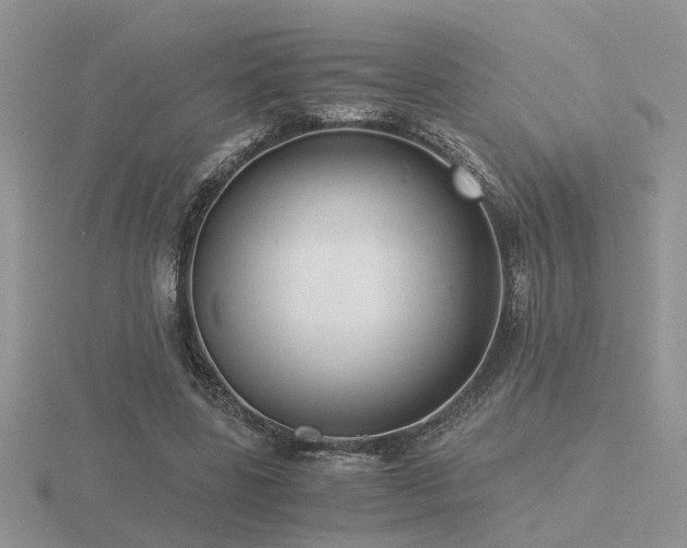 X0000116480539200912091402