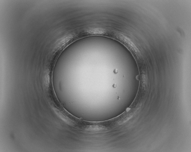 X0000116480541200912091402