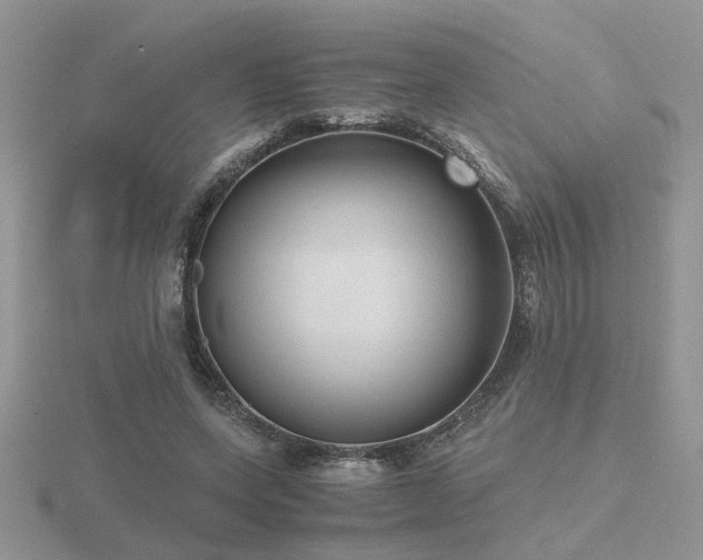 X0000116480543200912091402