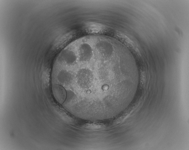 X0000116480545200912091402