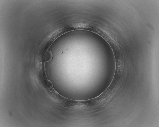 X0000116480547200912091402