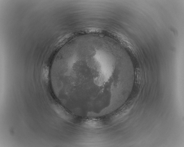 X0000116480550200912091402