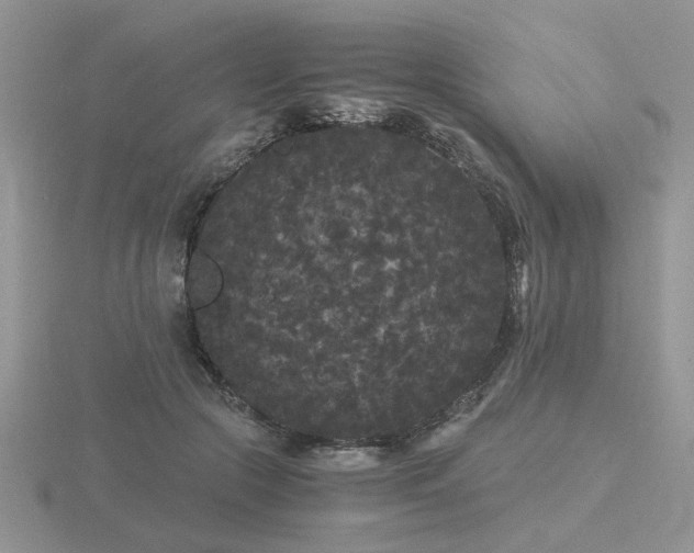 X0000116480553200912091402