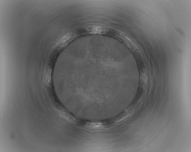 X0000116480554200912091402