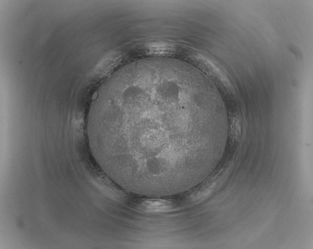 X0000116480557200912091402