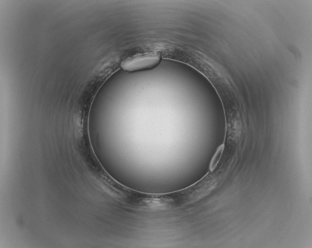 X0000116480558200912091402