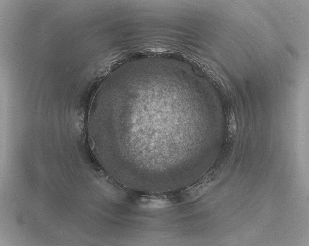 X0000116480559200912091402