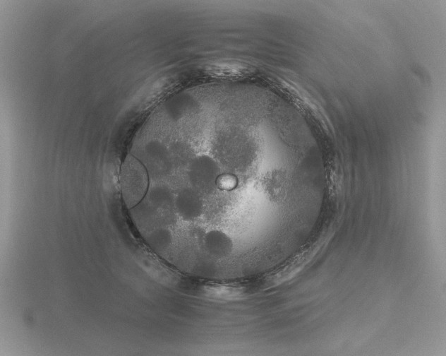 X0000116480561200912091402