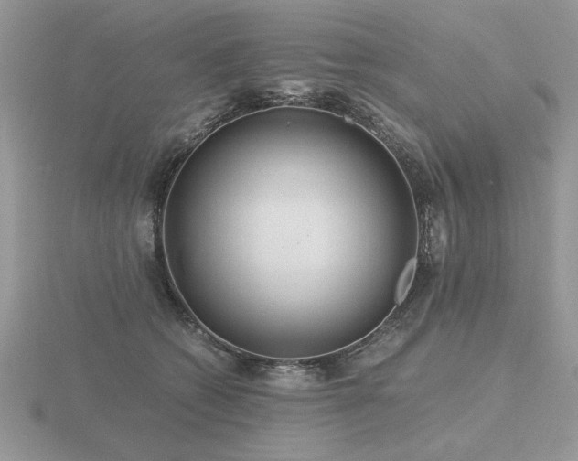 X0000116480562200912091402