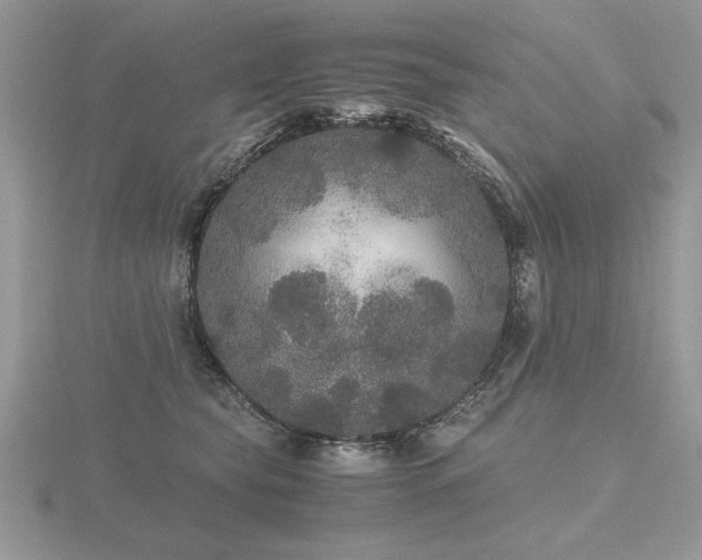 X0000116480565200912091402