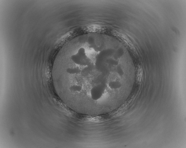 X0000116480569200912091402