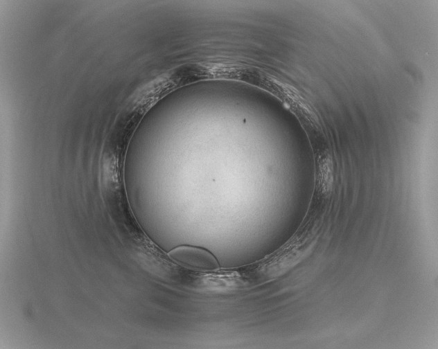 X0000116480571200912091402