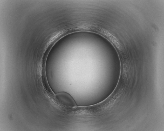 X0000116480578200912091402