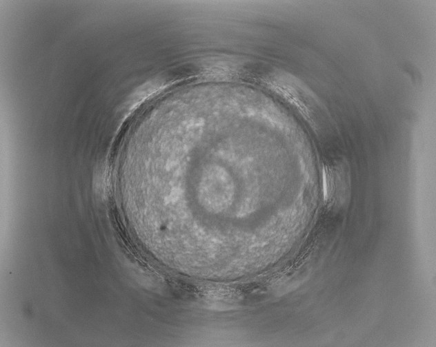 X0000116480579200912091402