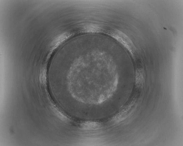 X0000116480581200912091402