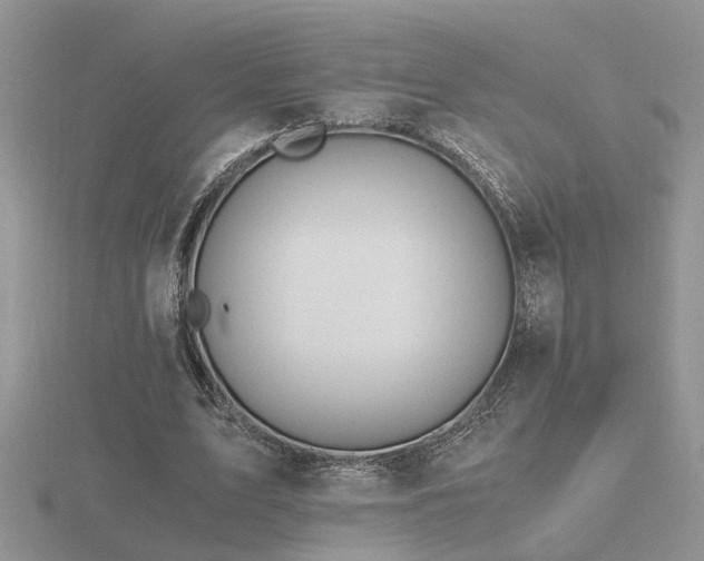 X0000116480583200912091402