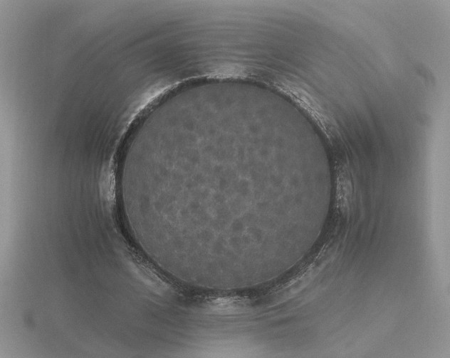 X0000116480584200912091402