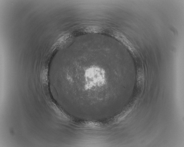 X0000116480585200912091402