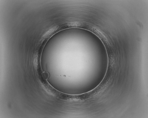 X0000116480586200912091402