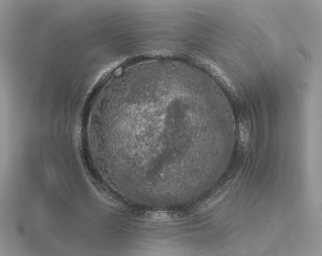 X0000116480588200912091402