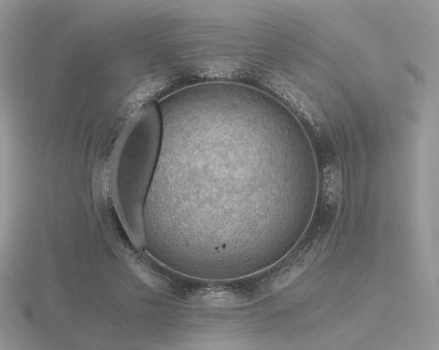 X0000116480589200912091402