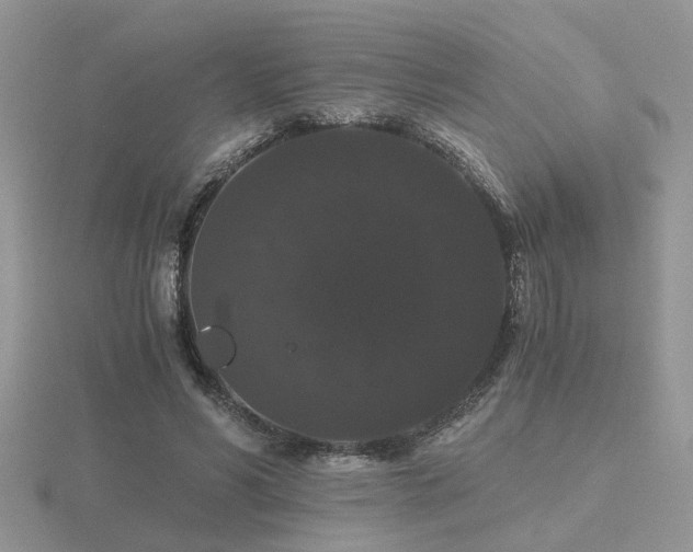 X0000116480590200912091402