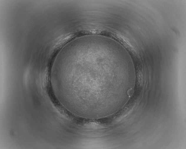 X0000116480594200912091402