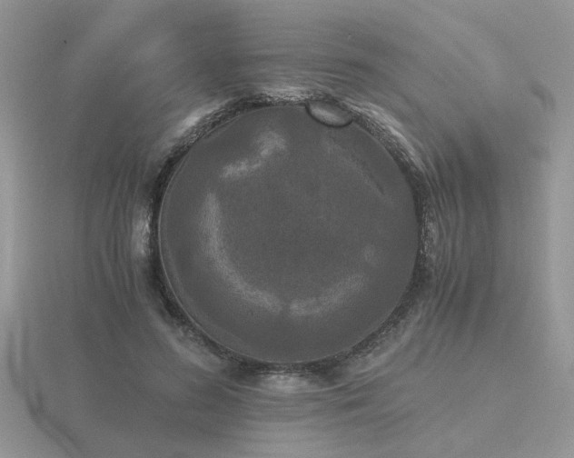 X0000116480596200912091401