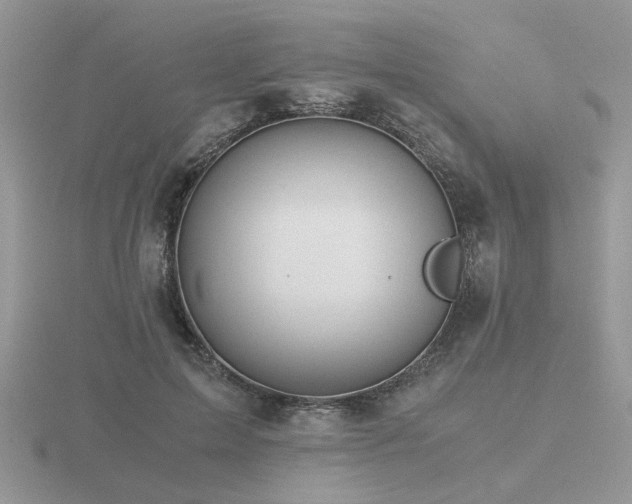 X0000116480599200912091401