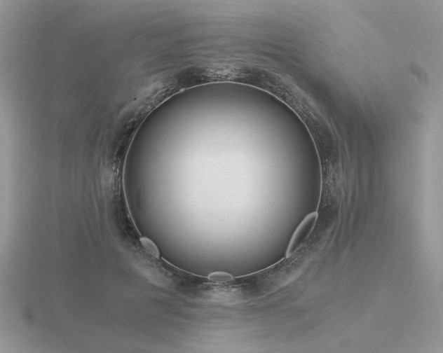 X0000116480601200912091401