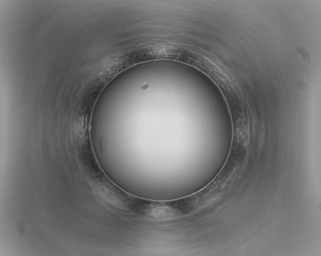 X0000116480605200912091401