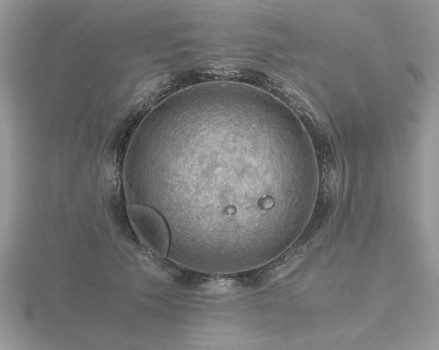 X0000116480609200912091401