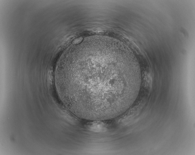 X0000116480612200912091401