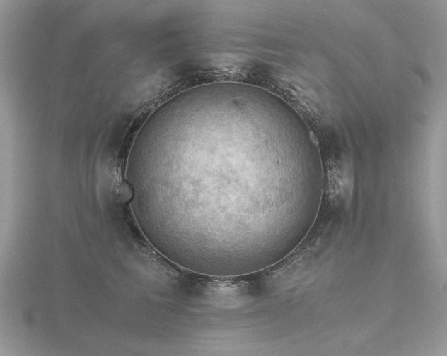 X0000116480613200912091401