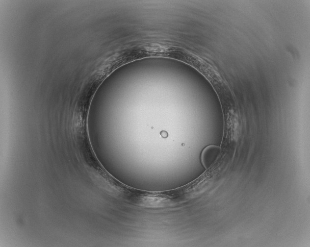 X0000116480614200912091401